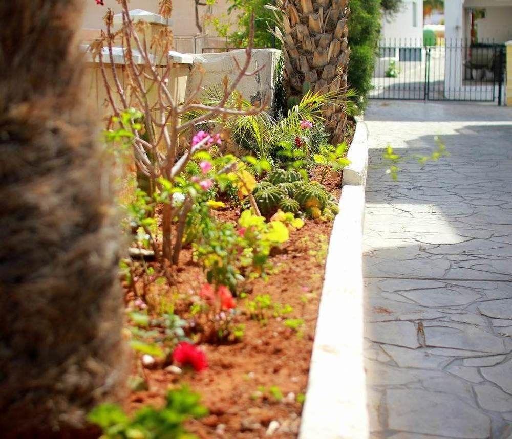 Maria Zintili Apartments Ayia Napa Exteriör bild